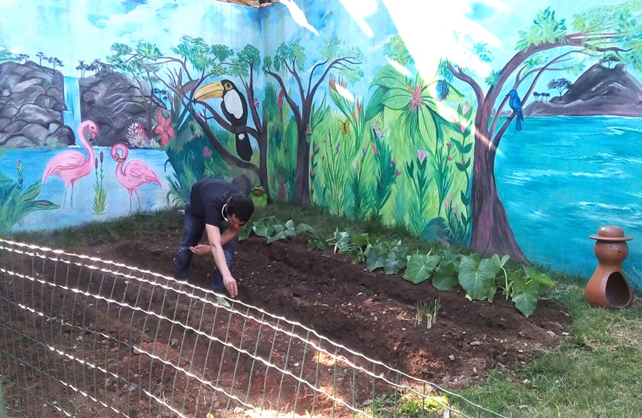Tutmés Ronzani, aluno do curso de Gestão Ambiental das Faculdades Integradas Vianna Júnior, desenvolveu um projeto socioambiental, que se baseia na criação de hortas em colégios da cidade. 